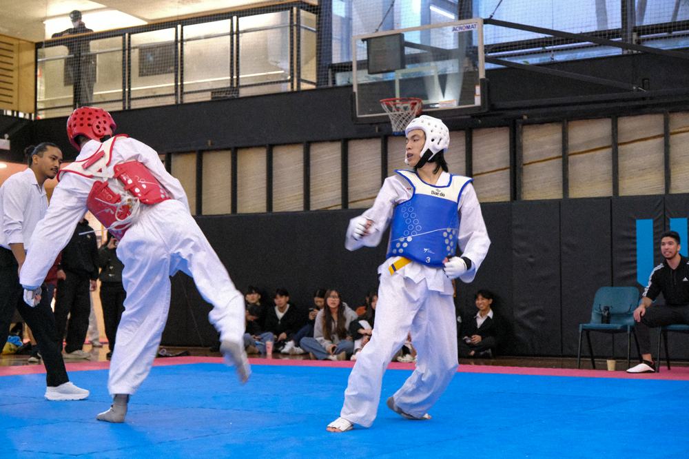TDog Taekwondo competition G368