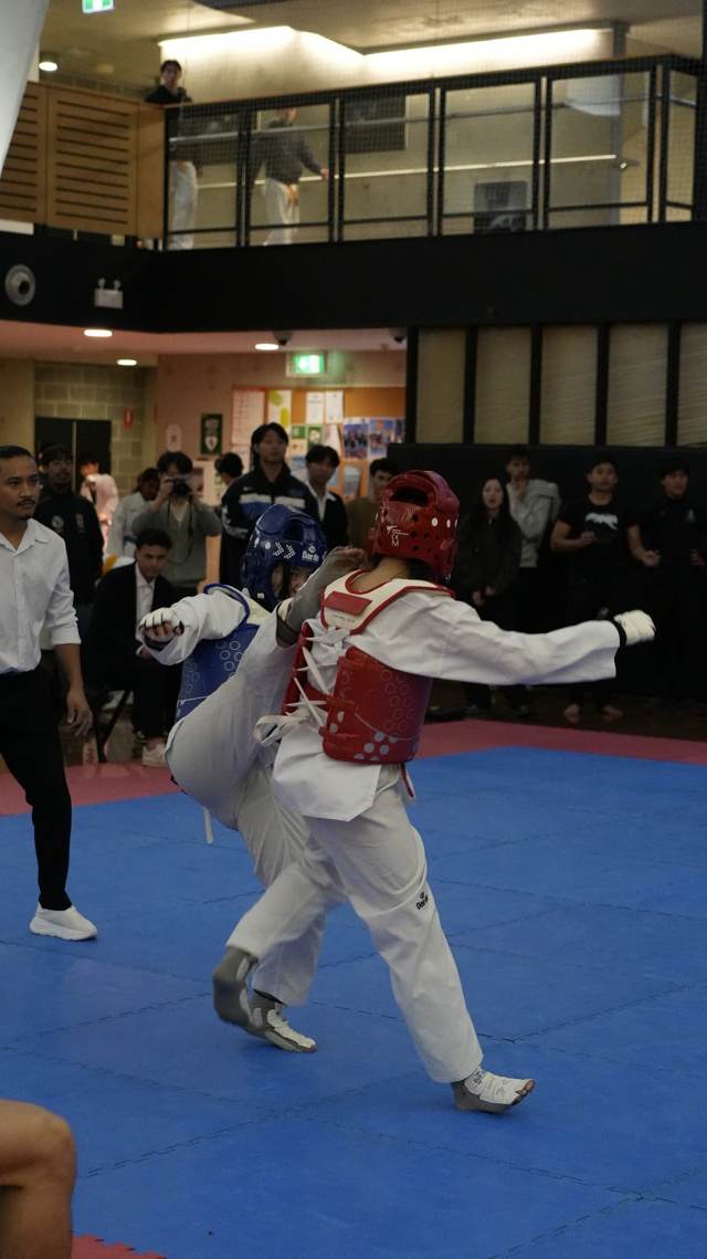 TDog Taekwondo competition G37