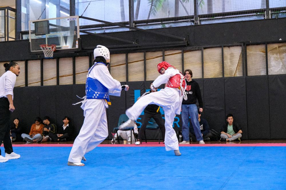 TDog Taekwondo competition G370