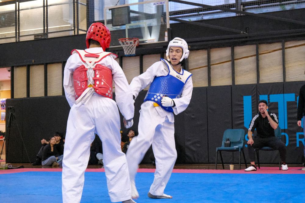 TDog Taekwondo competition G371