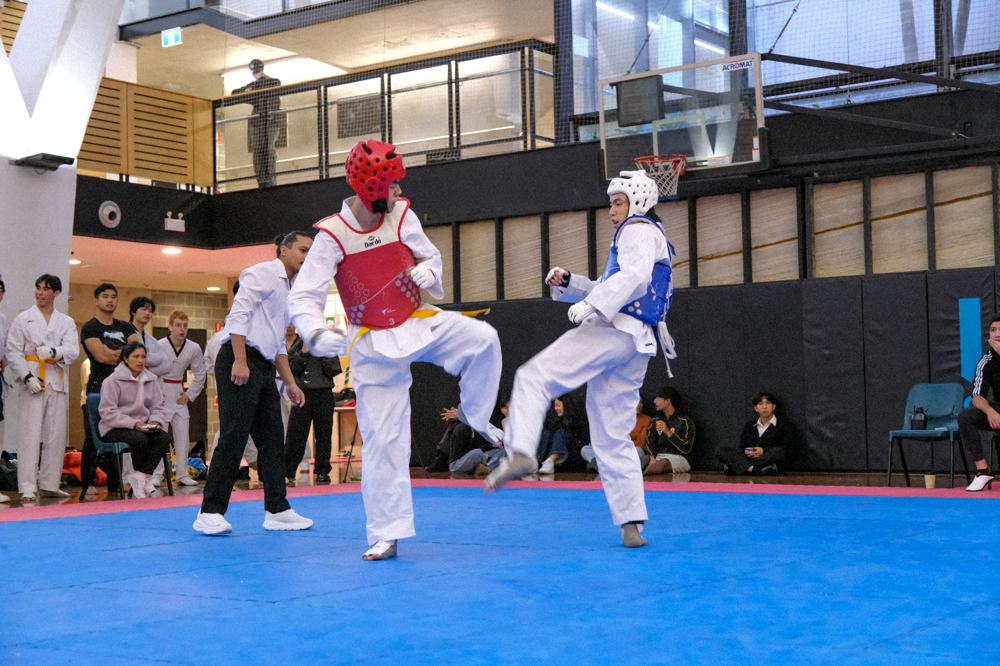 TDog Taekwondo competition G373