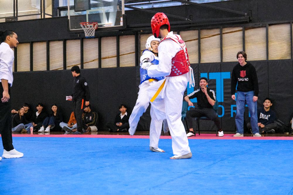 TDog Taekwondo competition G374