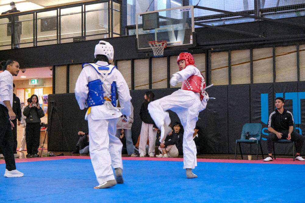 TDog Taekwondo competition G375