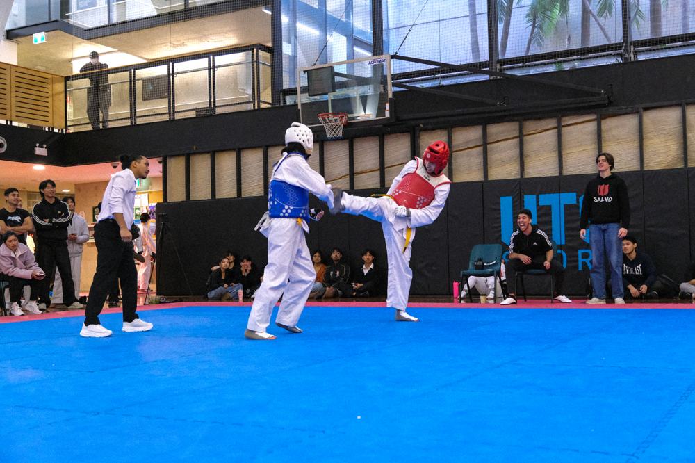 TDog Taekwondo competition G376