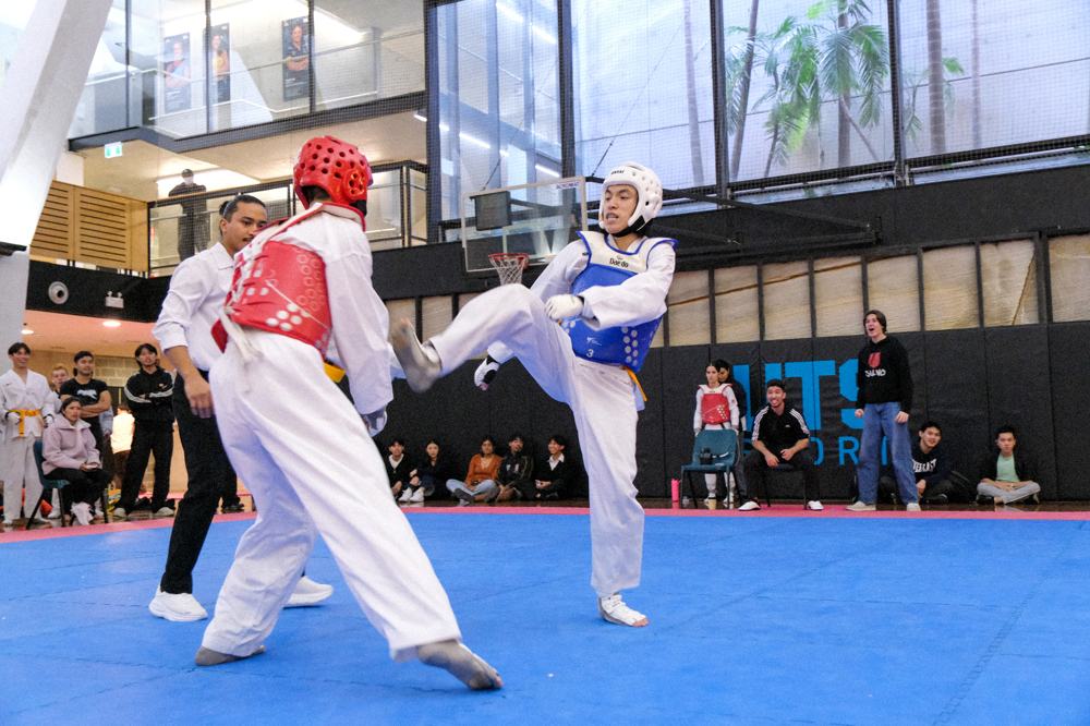 TDog Taekwondo competition G377
