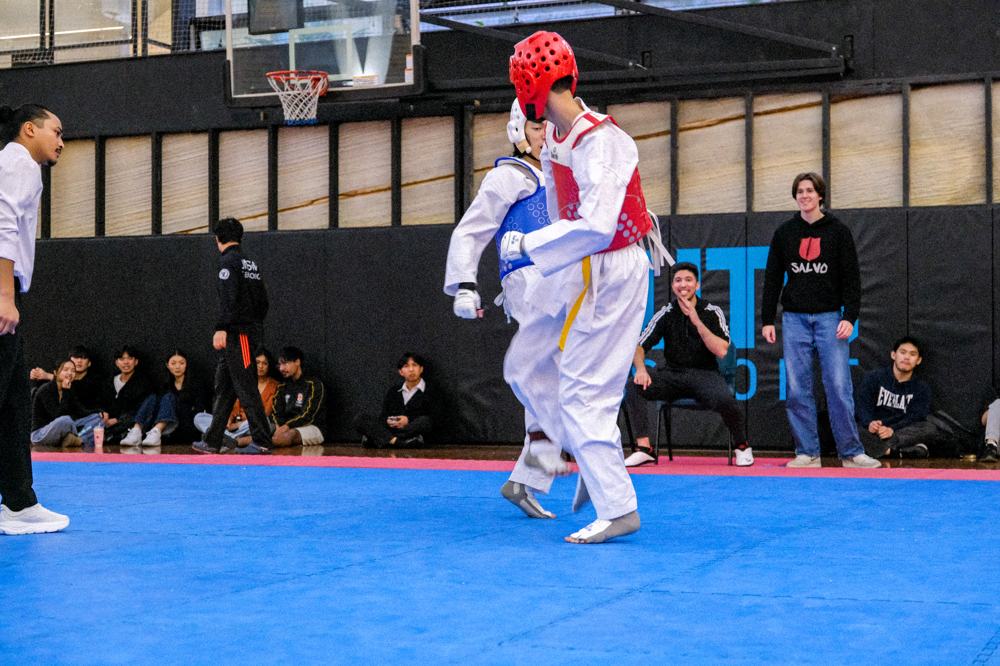 TDog Taekwondo competition G378