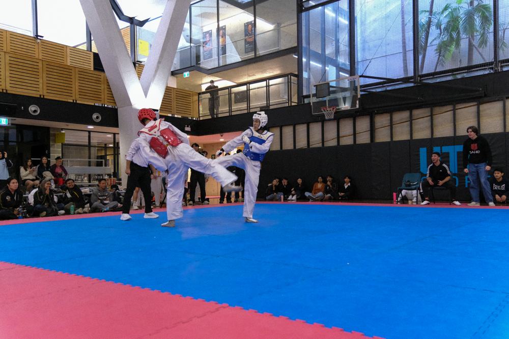 TDog Taekwondo competition G379