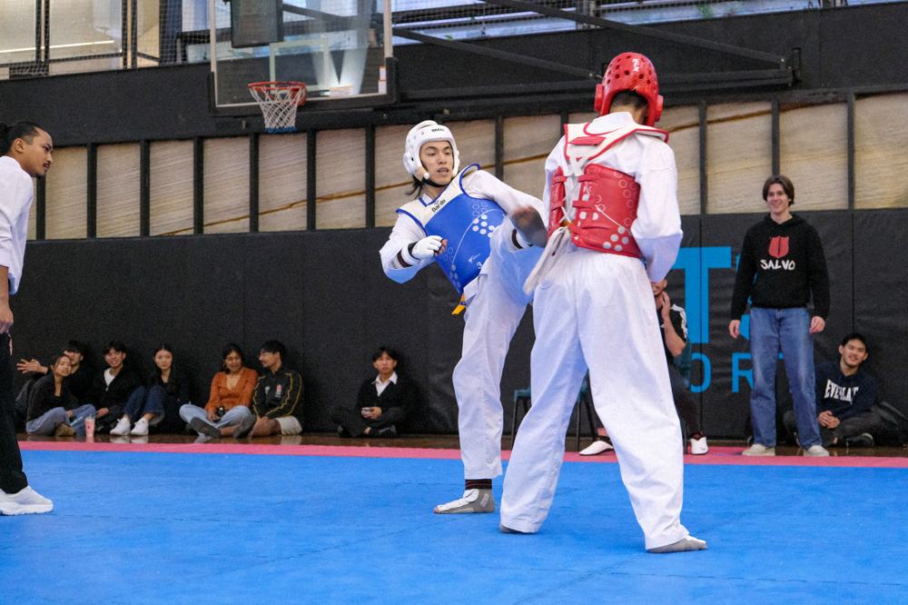 TDog Taekwondo competition G380