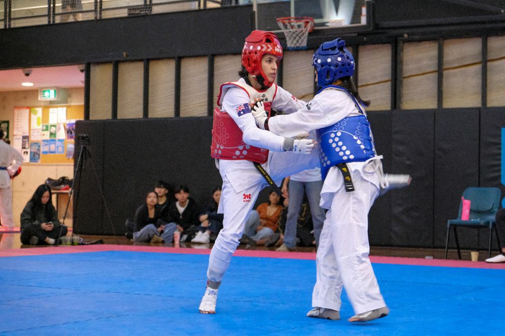 TDog Taekwondo competition G381