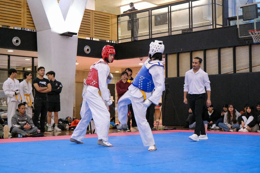 TDog Taekwondo competition G382