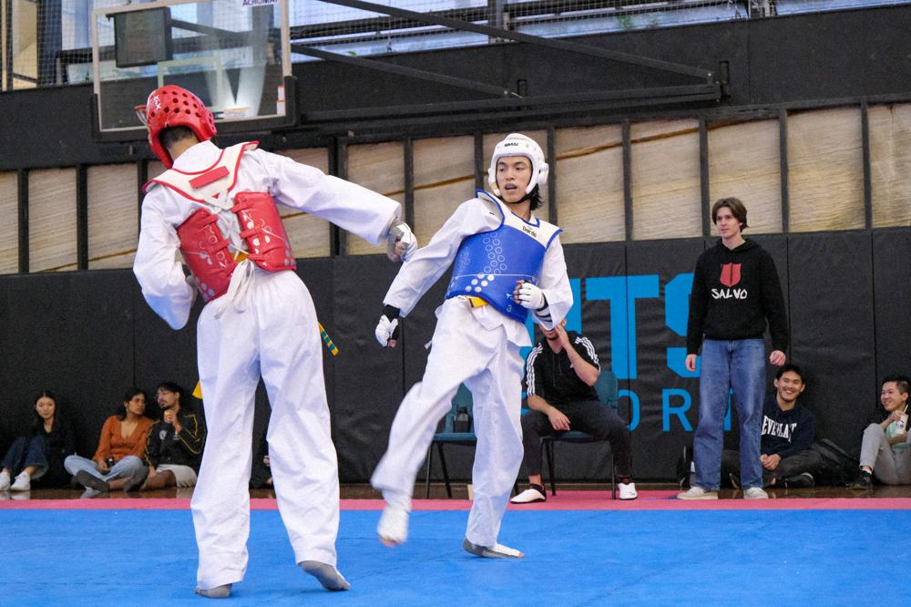 TDog Taekwondo competition G384