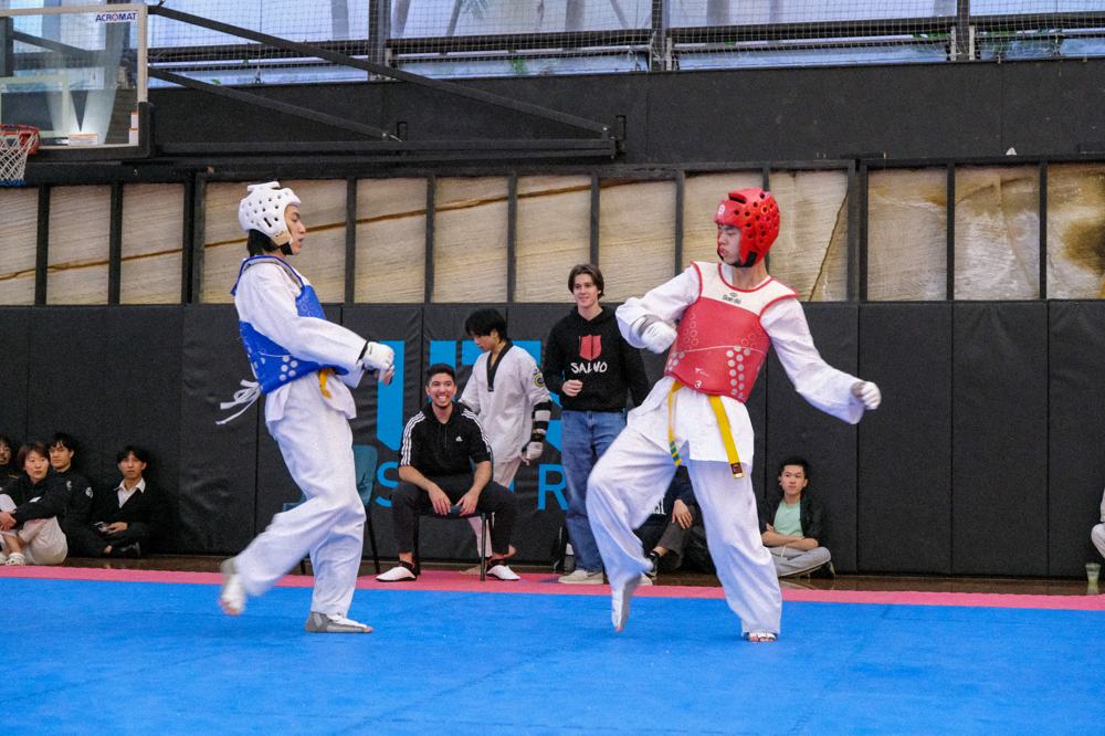 TDog Taekwondo competition G385