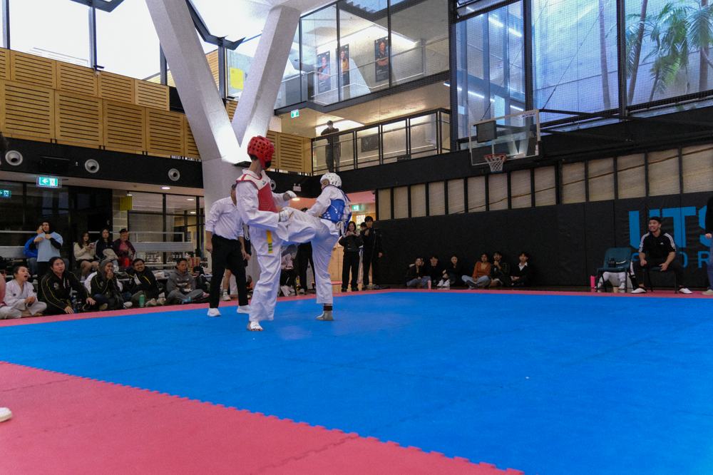 TDog Taekwondo competition G386