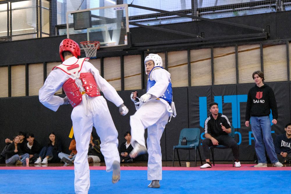 TDog Taekwondo competition G387