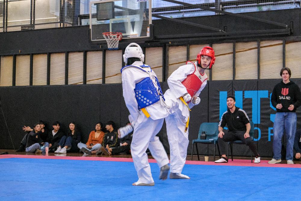 TDog Taekwondo competition G388