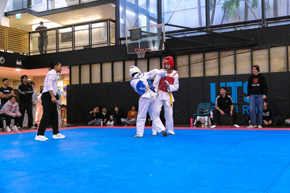 TDog Taekwondo competition G389