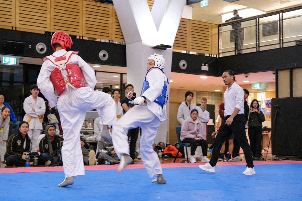TDog Taekwondo competition G390