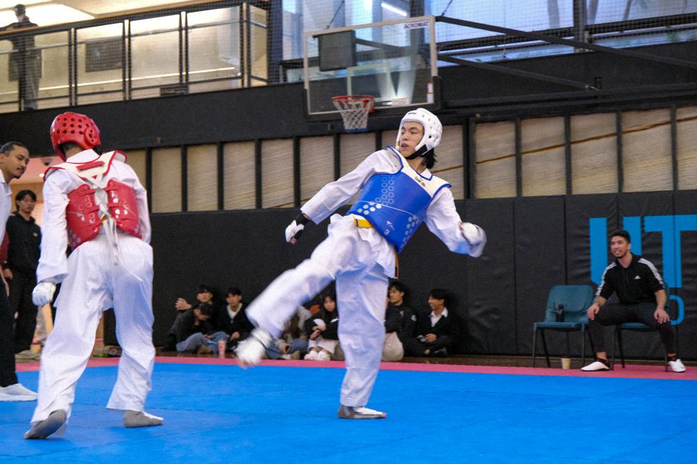 TDog Taekwondo competition G391