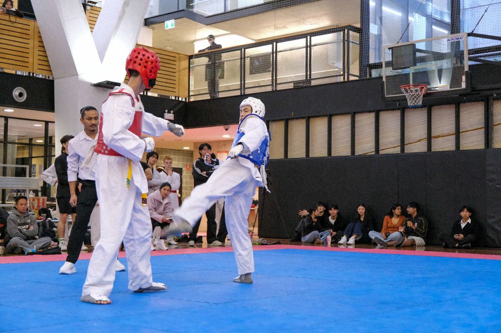 TDog Taekwondo competition G392