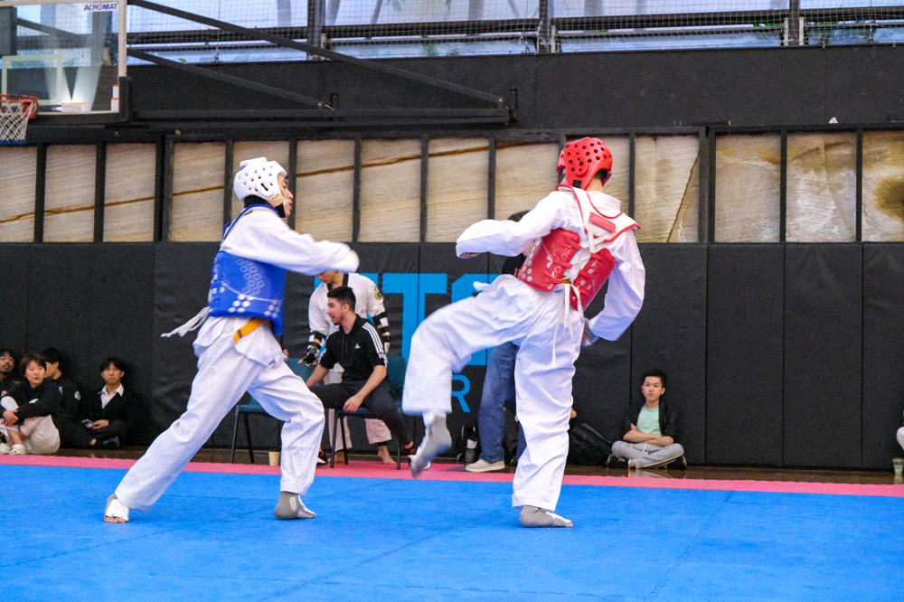 TDog Taekwondo competition G393