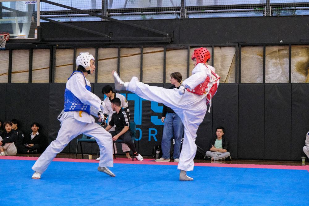 TDog Taekwondo competition G394