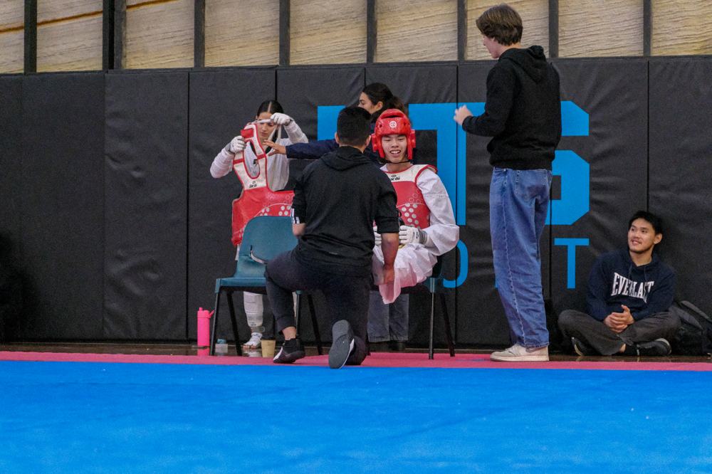 TDog Taekwondo coaching G395