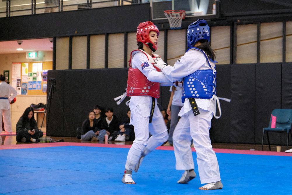 TDog Taekwondo competition G396