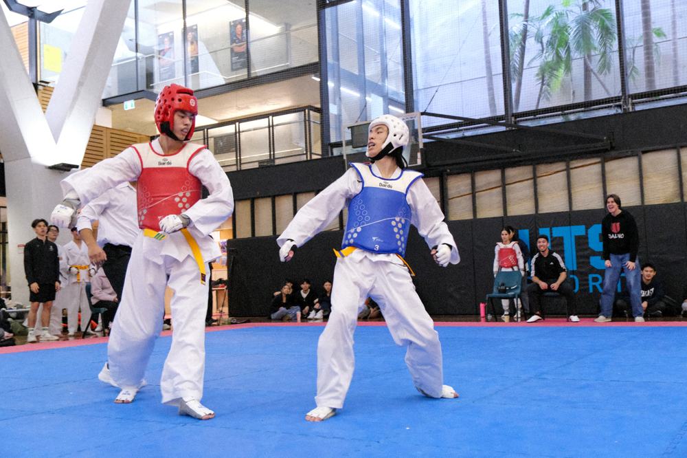 TDog Taekwondo competition G397