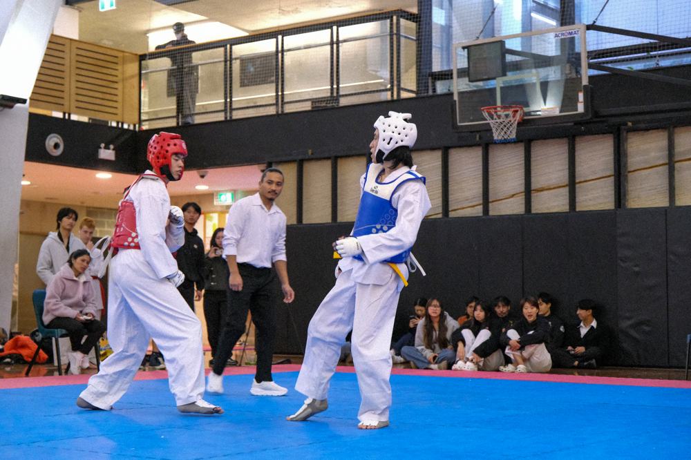 TDog Taekwondo competition G398
