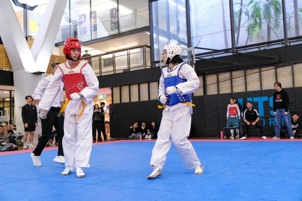 TDog Taekwondo competition G399