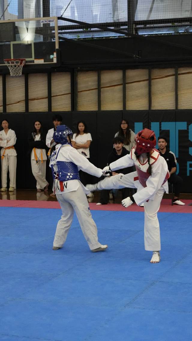 TDog Taekwondo competition G40