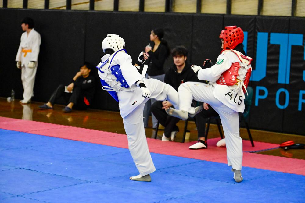 TDog Taekwondo competition G400