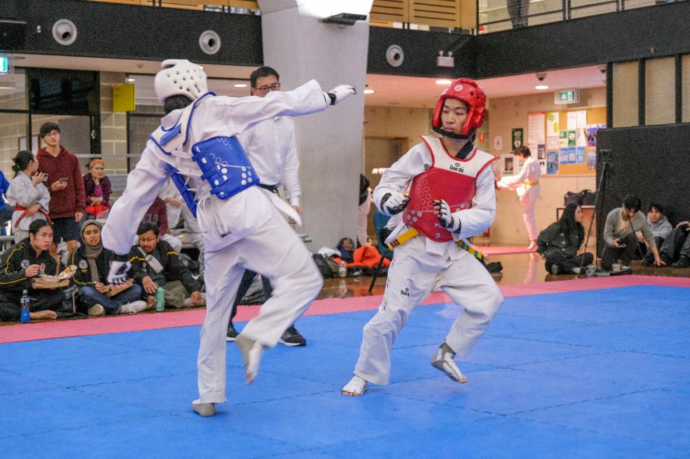 TDog Taekwondo competition G401