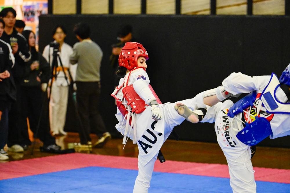 TDog Taekwondo competition G402