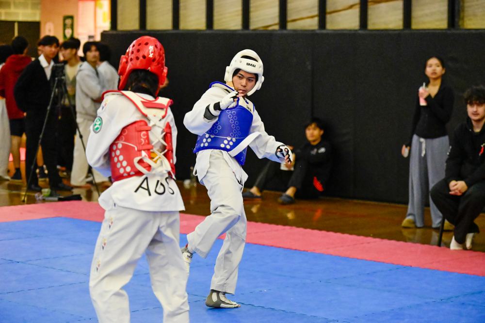 TDog Taekwondo competition G403