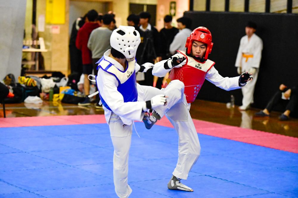 TDog Taekwondo competition G404