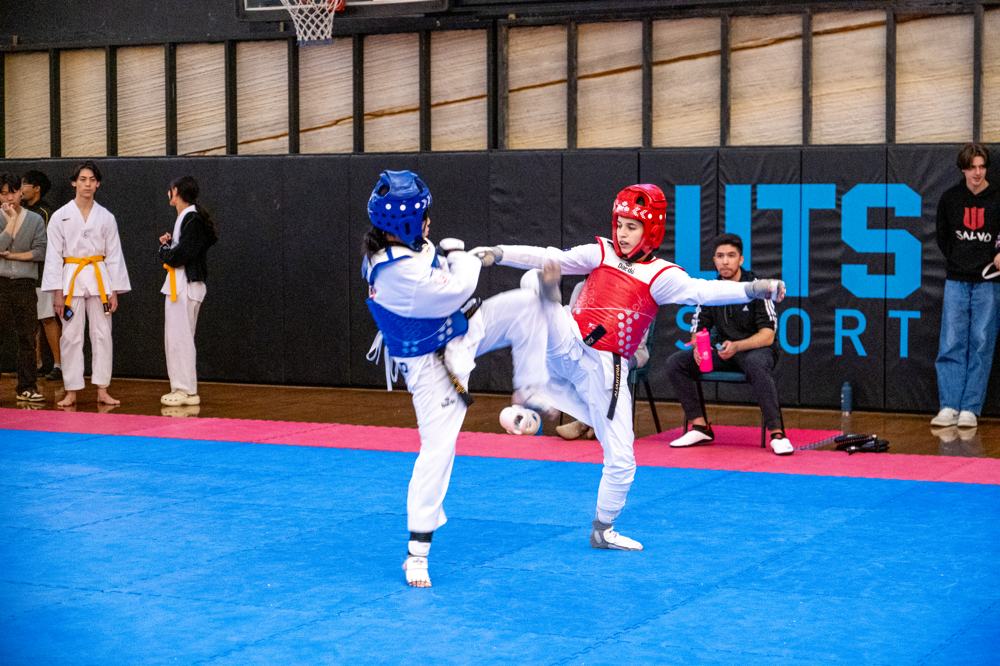 TDog Taekwondo competition G405