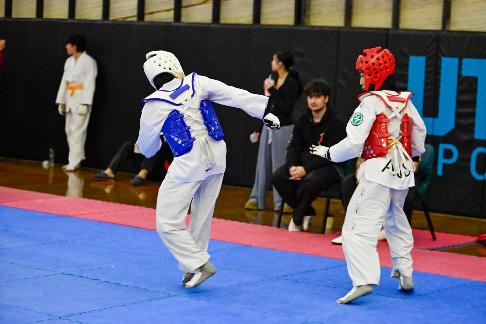 TDog Taekwondo competition G406