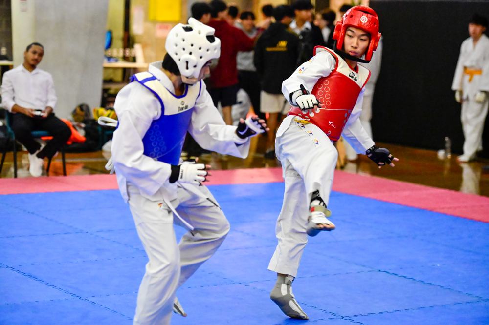 TDog Taekwondo competition G407