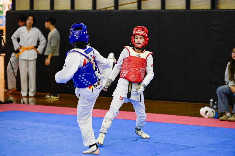 TDog Taekwondo competition G408
