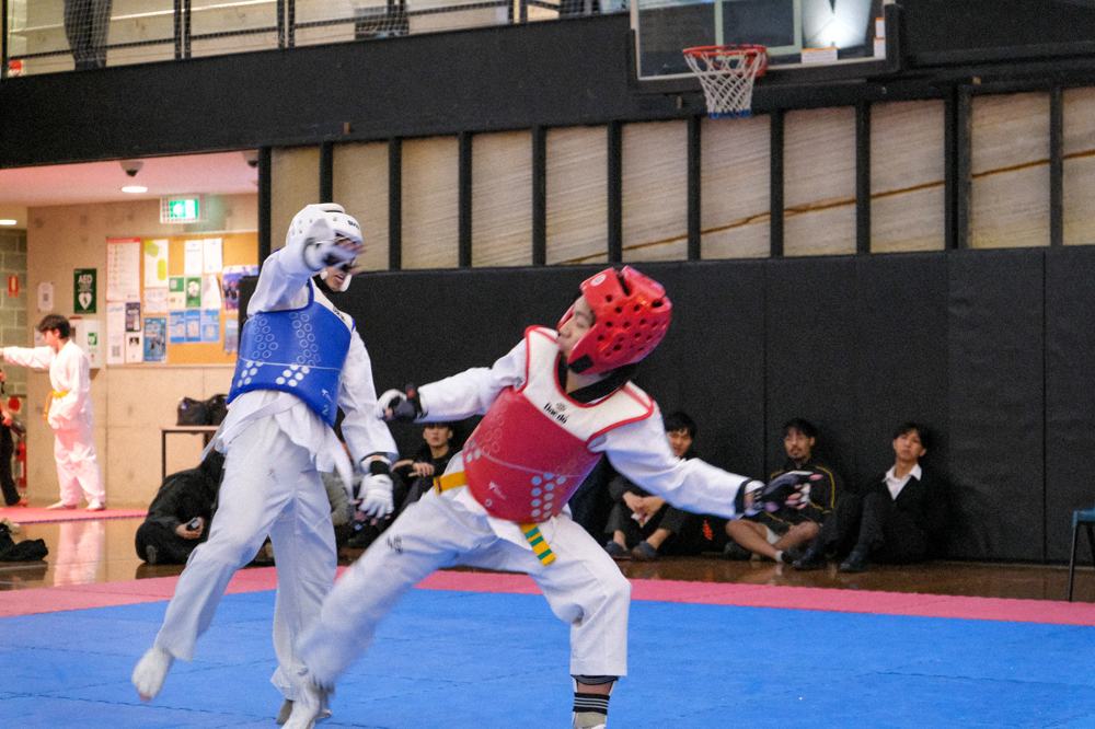 TDog Taekwondo competition G410