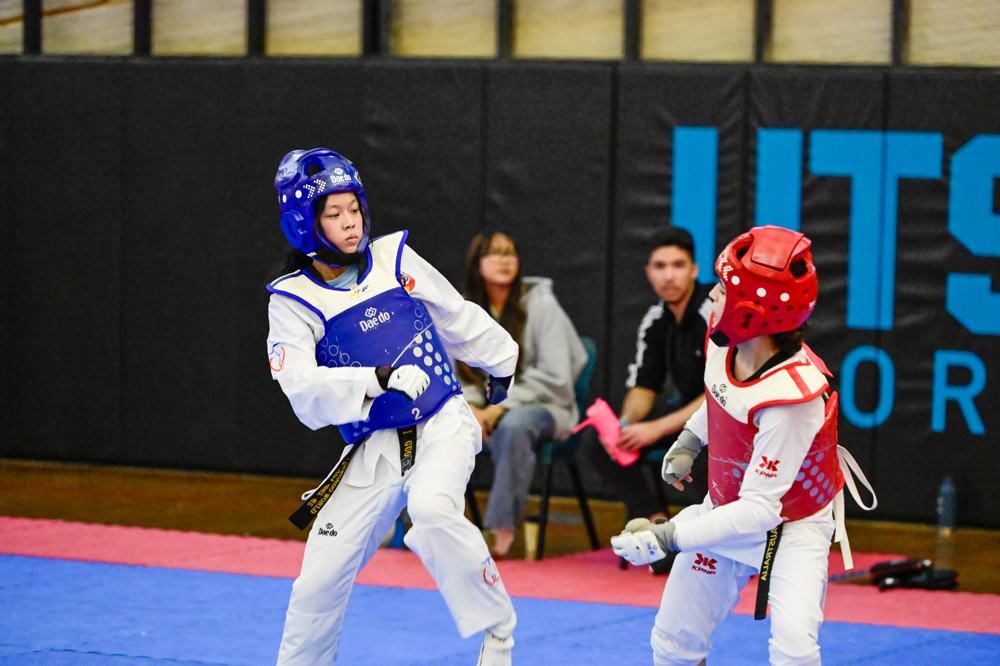 TDog Taekwondo competition G411