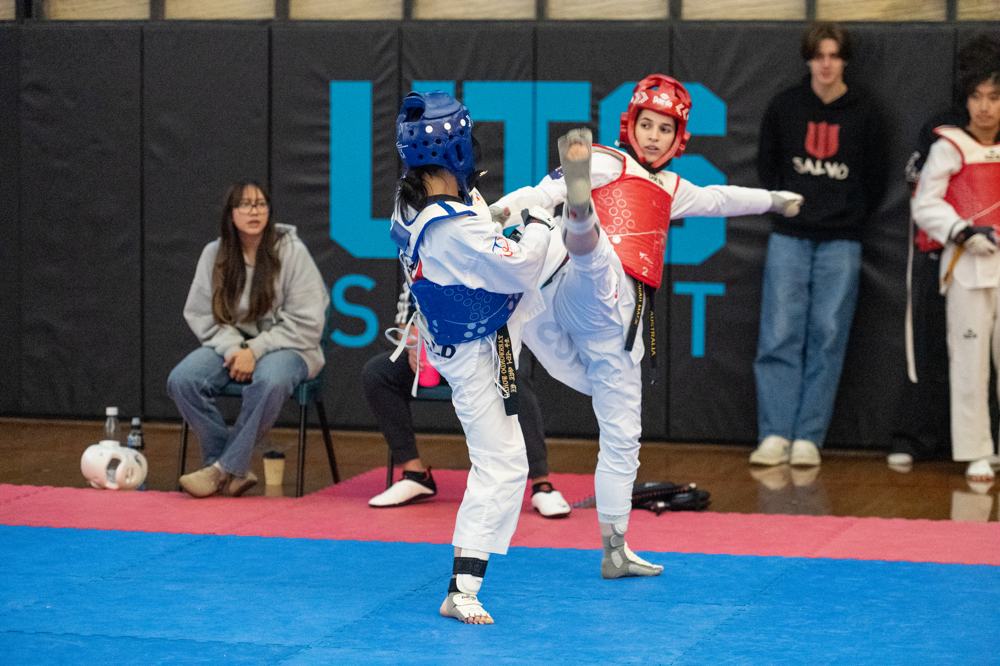 TDog Taekwondo competition G412
