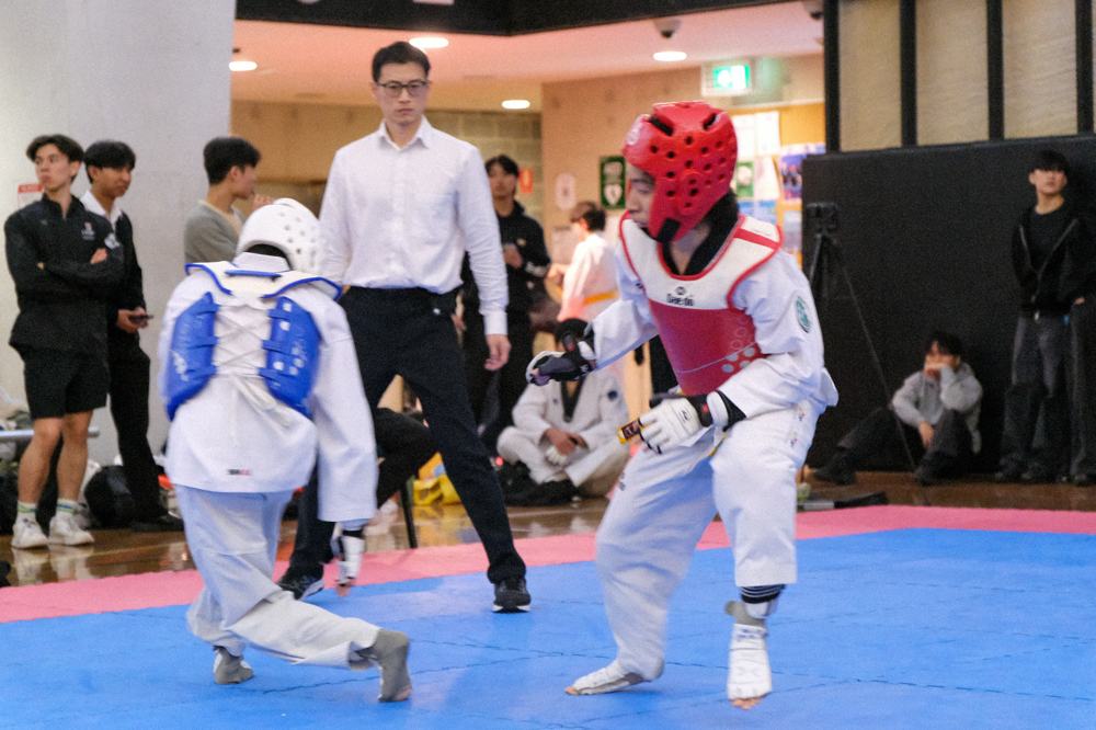 TDog Taekwondo competition G414