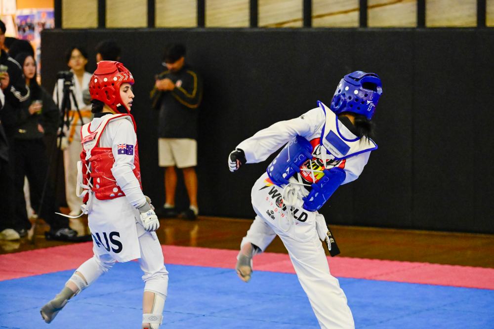 TDog Taekwondo competition G415