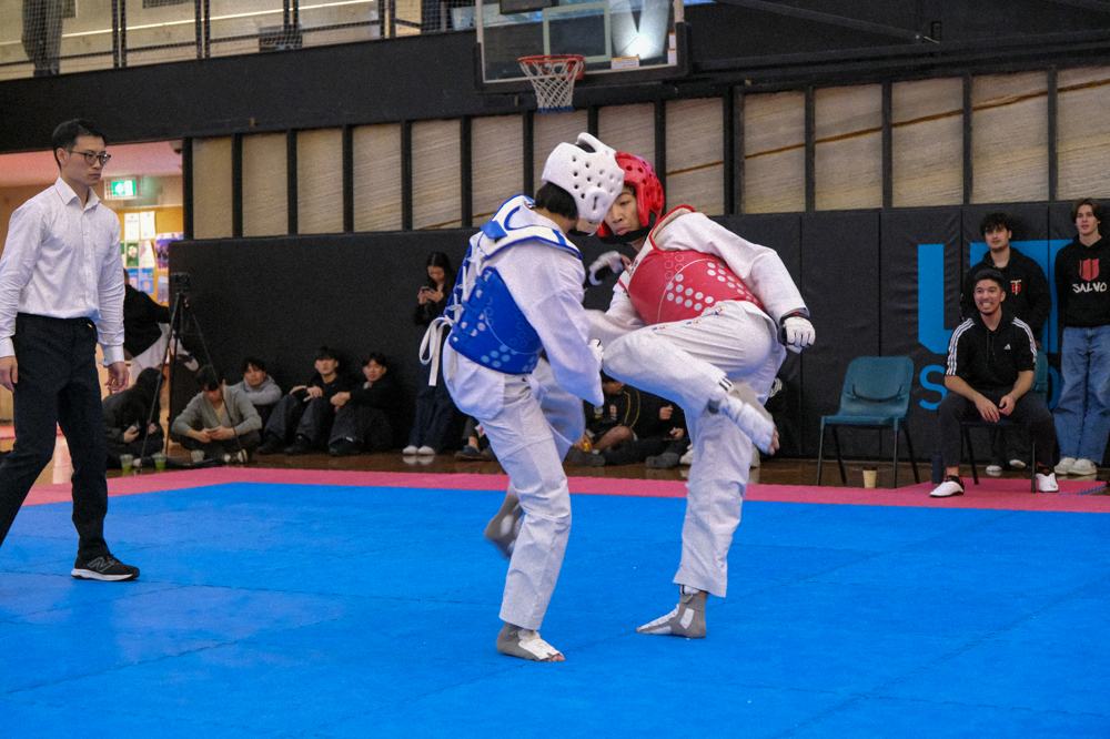 TDog Taekwondo competition G416