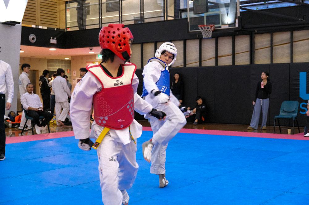 TDog Taekwondo competition G417