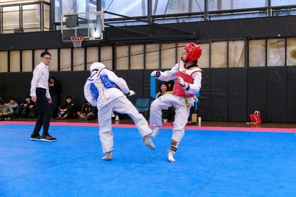TDog Taekwondo competition G419
