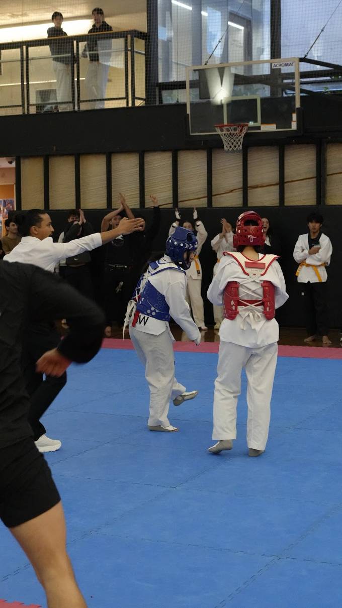 TDog Taekwondo competition G42