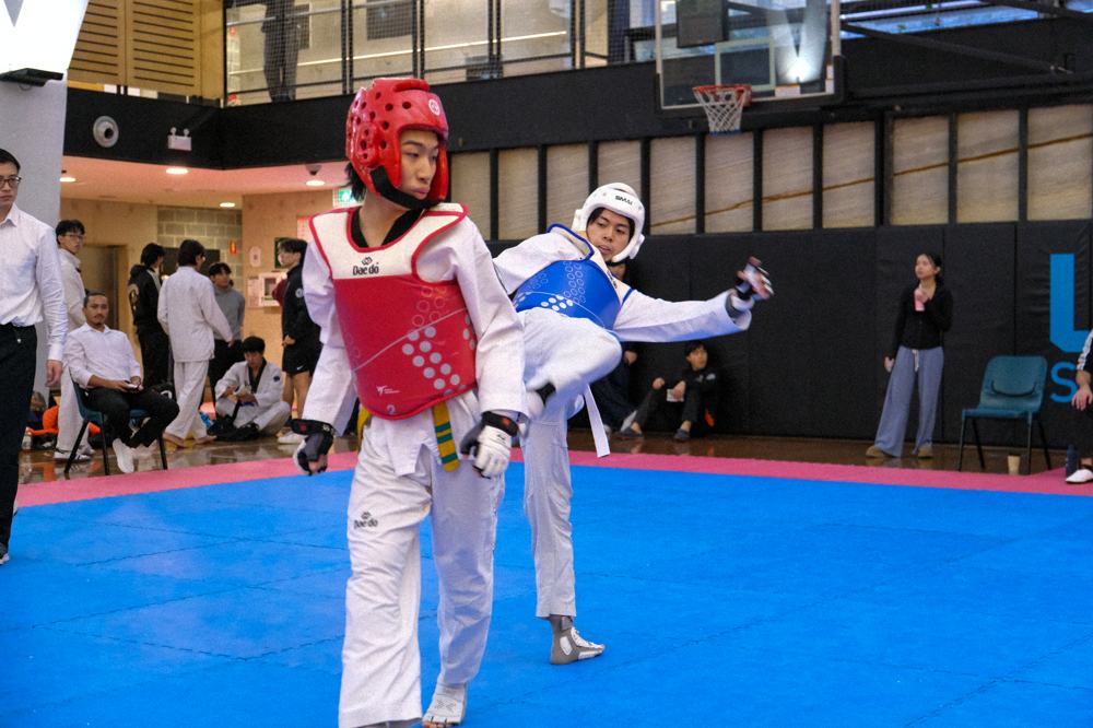 TDog Taekwondo competition G420